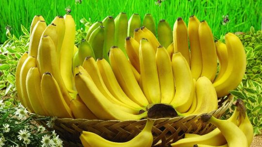 Blog Tays Bakers Makan Pisang, Banyak Manfaatnya Lho! 1