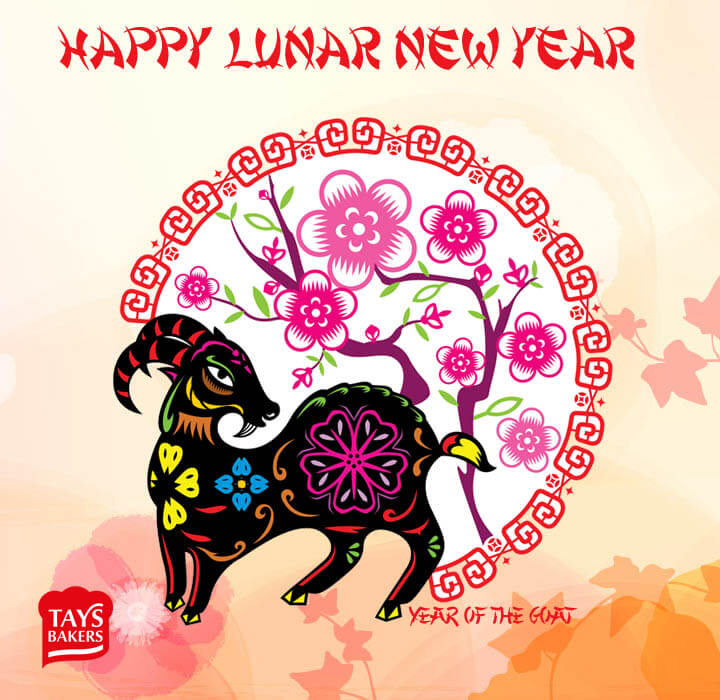 Happy lunar new year. Happy Lunar New. Happy Lunar New year 2024 картинки. Happy Lunar New year 2023.