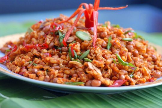 kering tempe