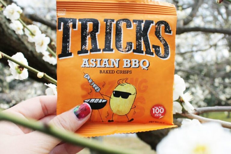 melihat bunga sakura