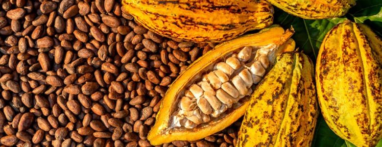 Tays bakers - Asal Usul Cokelat Lezat dari Australia