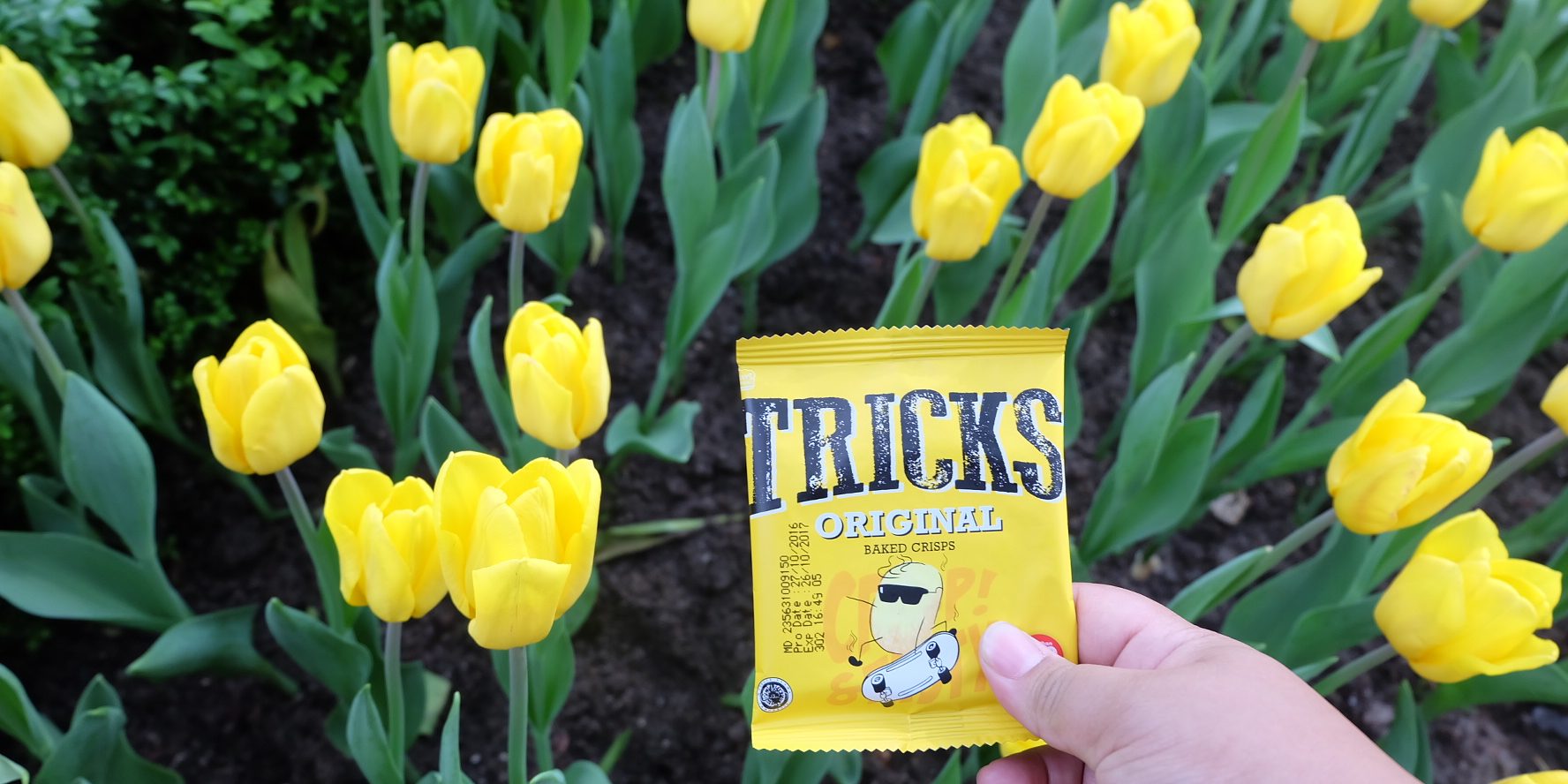 10 Wisata Alam Tricks