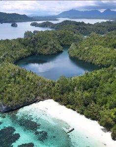 Travelling di danau di Indonesia yang bisa berenang sama ubur-ubur